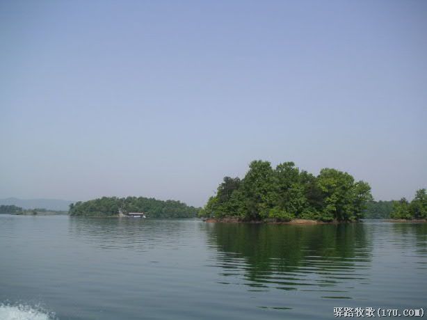 ՈСꖁ()
