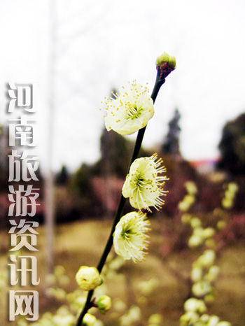 u䪚(d)  Gɽ@ ÷