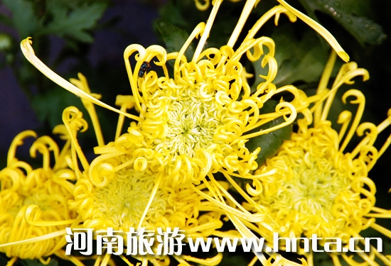 Ї(gu)_(ki)ջչ_(ki)Ļ չһ