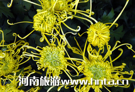 _(ki)ջĻ(ji)(i)ո֮