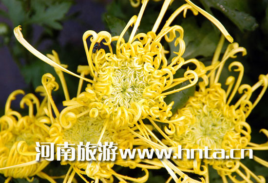 _(ki)ջĻ(ji)(i)ո֮