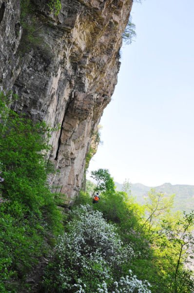 PcÓ D(zhun)