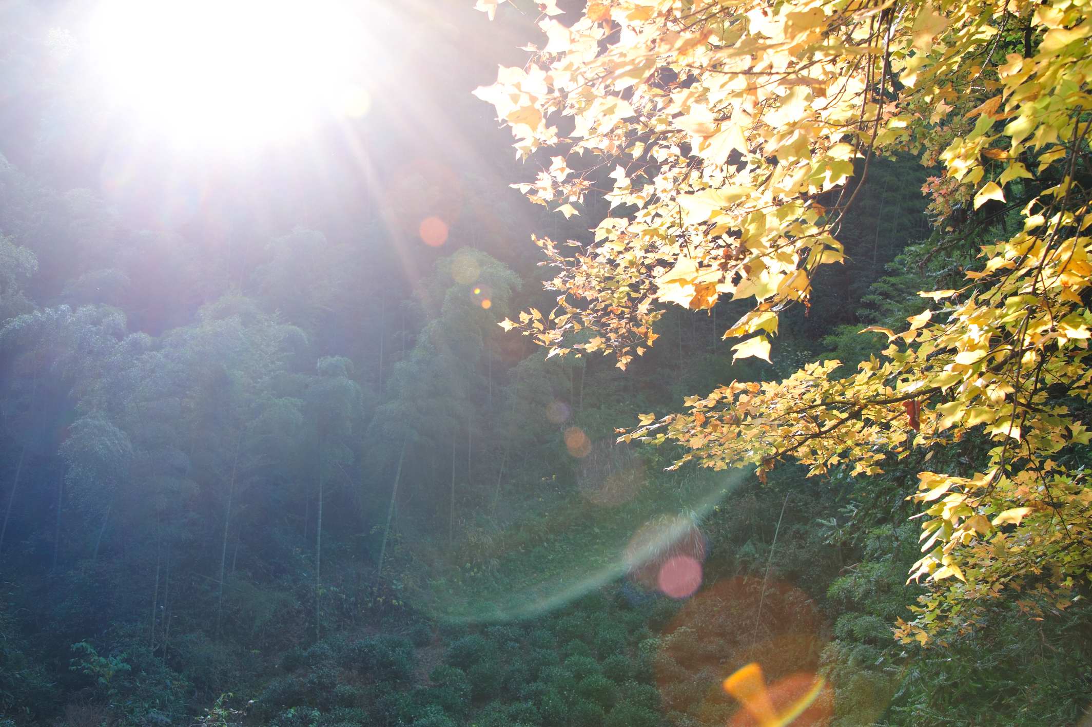 周末不遠(yuǎn)游 省內(nèi)周邊游推薦