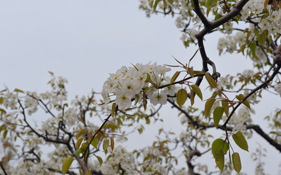 p滨 ֮l(xing)gӭ