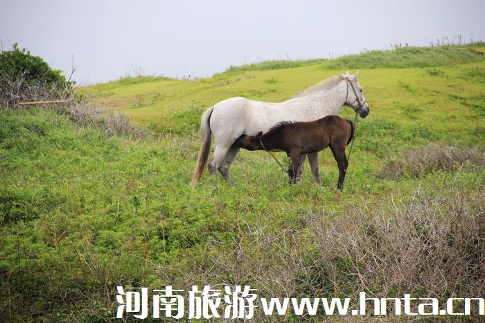 nݍuCӛ