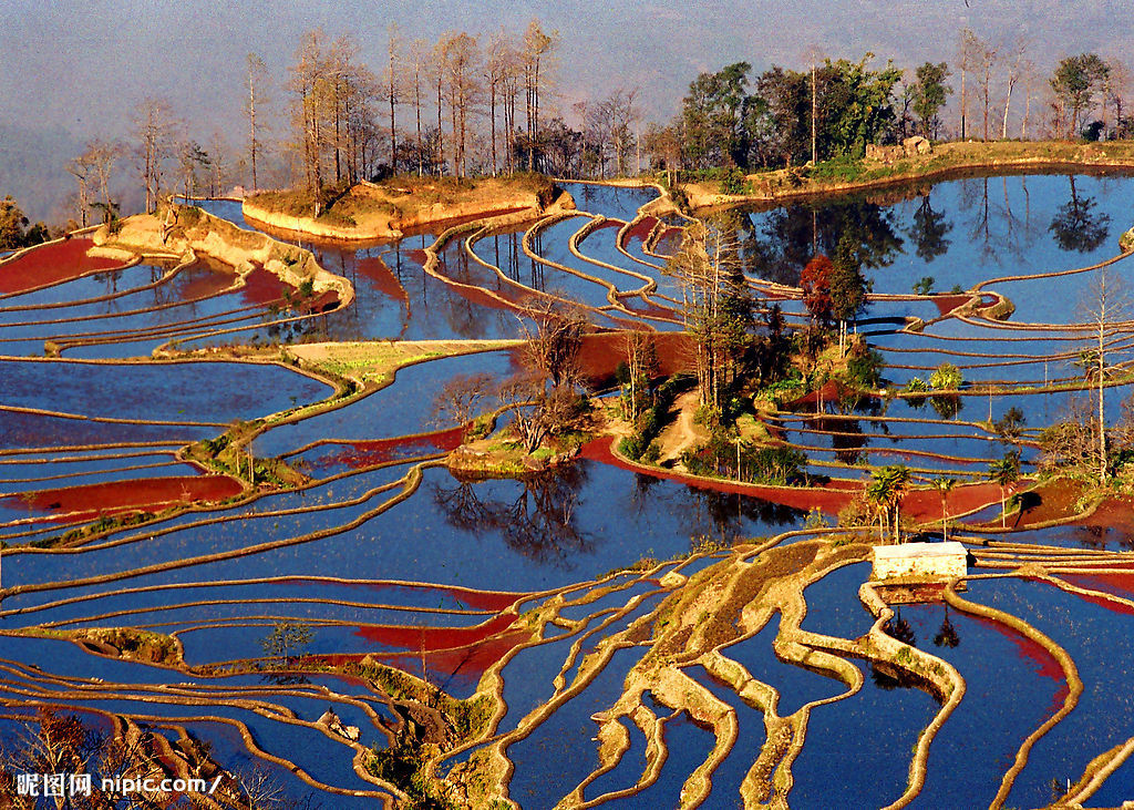 ܇݆ϵЇ(gu) (gu)c{ξ·]