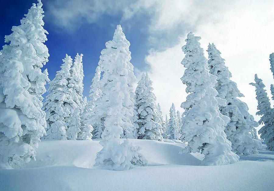 美麗“凍”人 國內(nèi)名山雪景盤點(diǎn)
