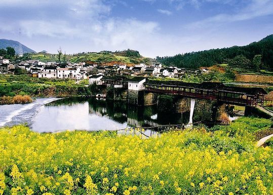 早春 和婺源來一場關(guān)于油菜花的約會吧