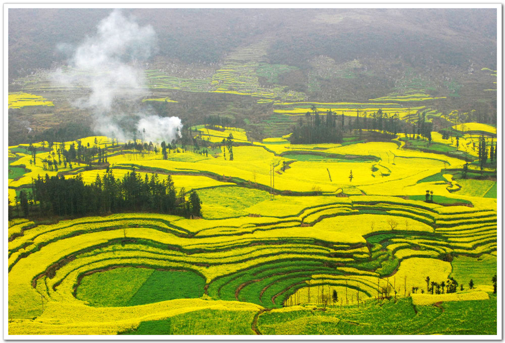 我和鮮花的約會(huì) 三月旅游賞花大攻略