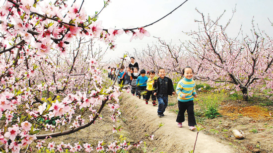 清明小長假去哪兒玩?省內(nèi)踏青春游景點推薦